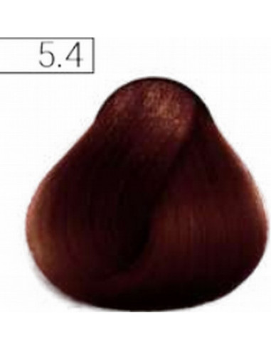 Absoluk Permanent hair color 5.4 100ml