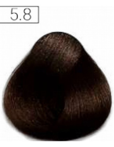 Absoluk Permanent hair color 5.8 100ml