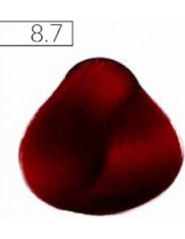 Absoluk Permanent hair color 8.7 100ml
