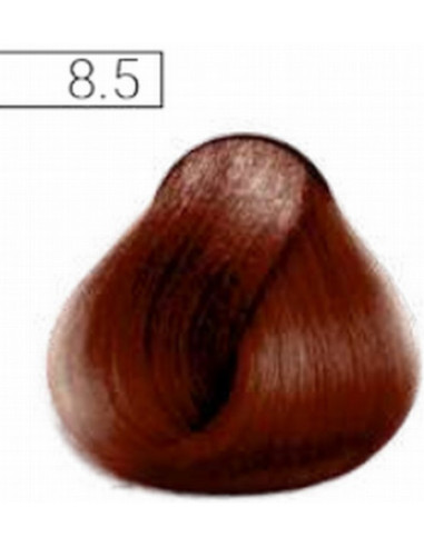 Absoluk Permanent hair color 8.5 100ml