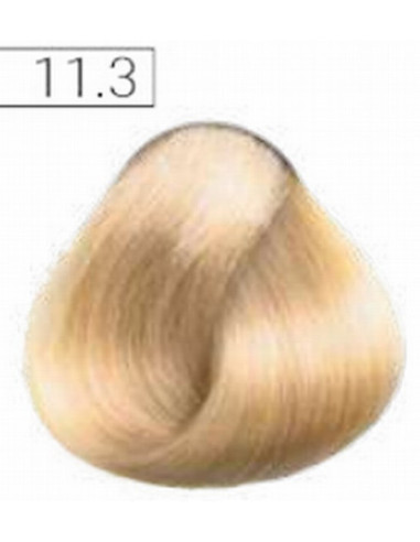 Absoluk Permanent hair color 11.3 100ml