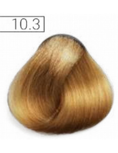Absoluk Permanent hair color 10.3 100ml
