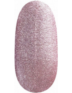 Magnetic Gel Polish UV/LED...