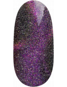 Magnetic Gel Polish UV/LED...
