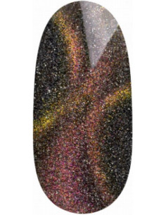 Magnetic Gel Polish UV/LED...