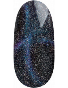 Magnetic Gel Polish UV/LED...