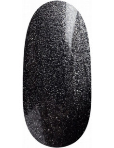 Magnetic Gel Polish UV/LED...