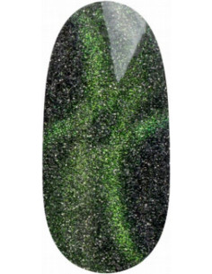 Magnetic Gel Polish UV/LED...