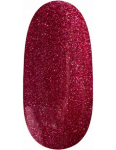 Magnetic Gel Polish UV/LED...