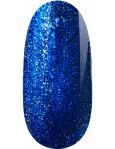 Magnetic Gel Polish UV/LED...