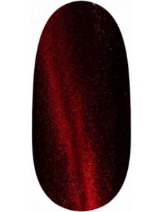 Magnetic Gel Polish UV/LED...