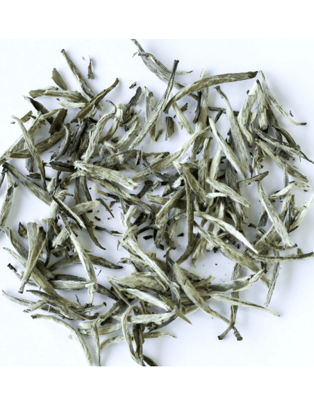 HEALING STRENGTH White Tea Shampoo 300ml