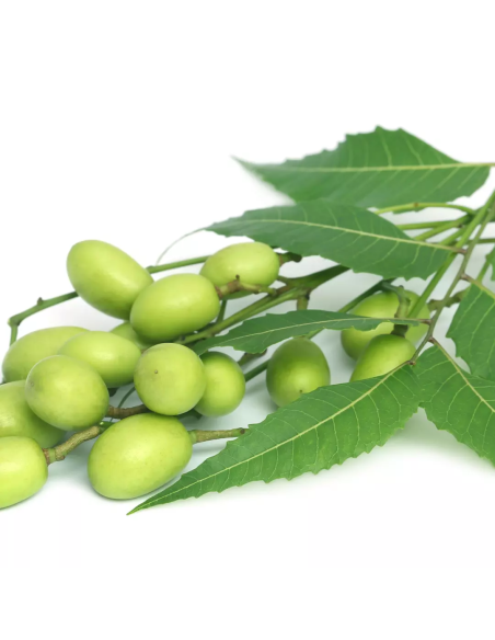 HEALING STRENGTH Neem Plant Silk Serum 100ml