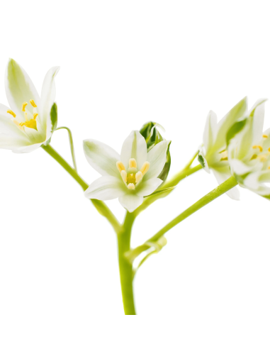 HEALING STRENGTH Укрепляющий...