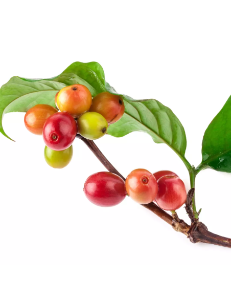 Keratin HEALING OIL Маска для всех типов волос 210мл