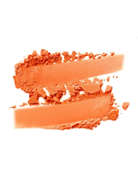 SLA PARIS Eye shadows micronized refill - Dark Orange