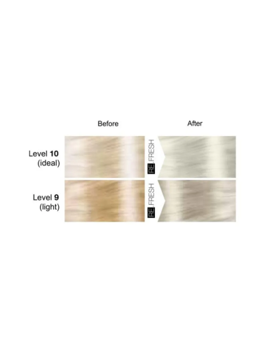 Re.Fresh SILVER tonējošā maska 250ml